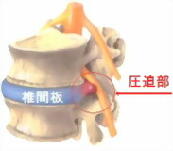 �w���j�A����