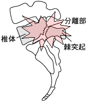 ���I�����É@�]������