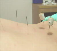 �����s�a�J���X�؁]������