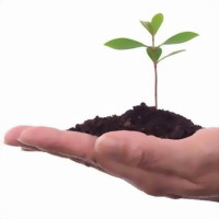 ���m��w�]�̎����P