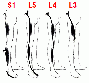 �����Ɛ_�o�̈�