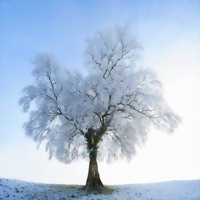 �j�������Ă���