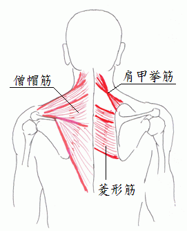 �����s�a�J���X�؁]������̋ؓ�