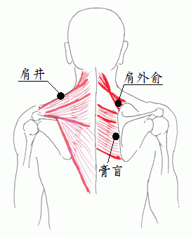 �����s�a�J��]������Ɍ����c�{