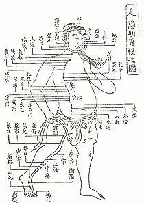 ���̗z���݌o